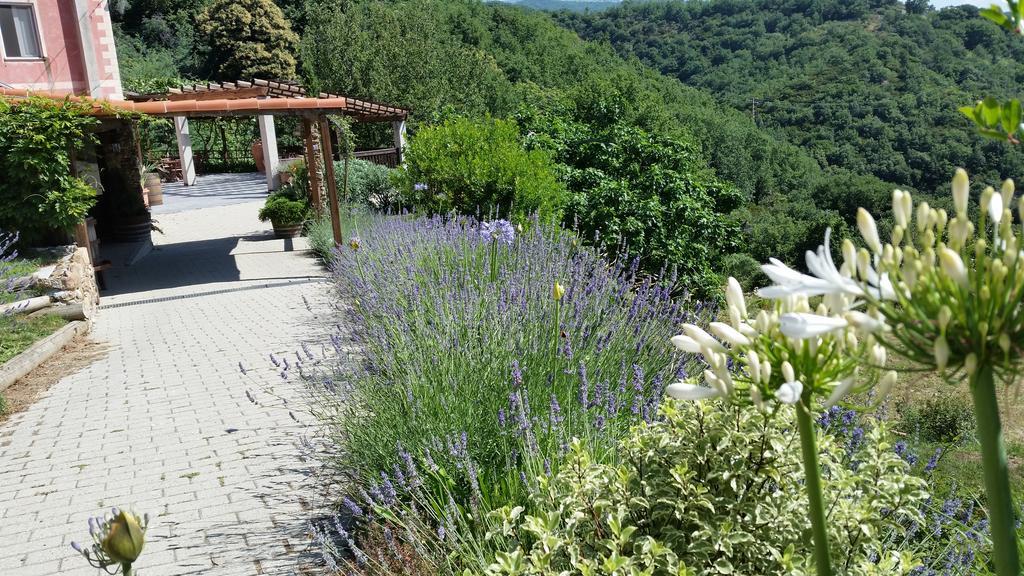 Agriturismo Gocce Di Luna Celle Ligure Eksteriør billede