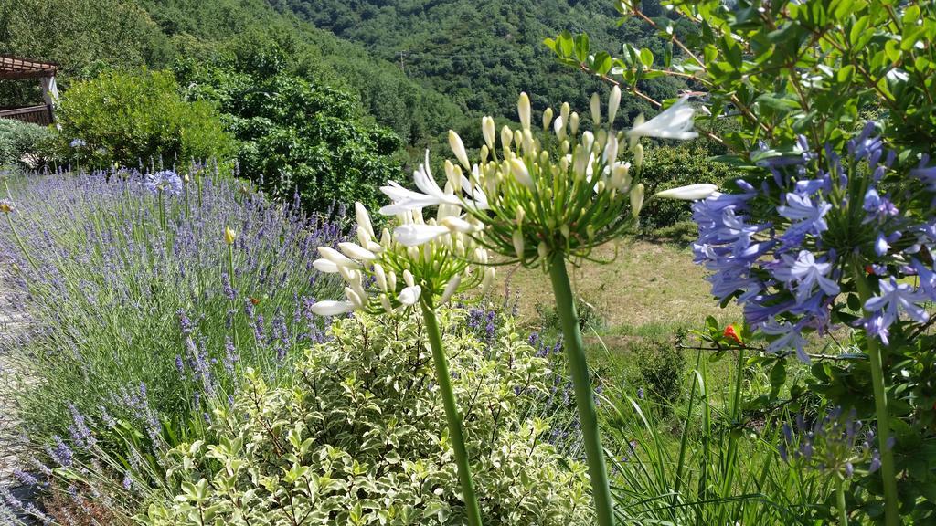 Agriturismo Gocce Di Luna Celle Ligure Eksteriør billede