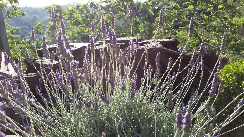 Agriturismo Gocce Di Luna Celle Ligure Eksteriør billede