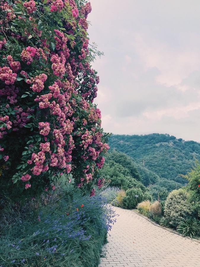 Agriturismo Gocce Di Luna Celle Ligure Eksteriør billede